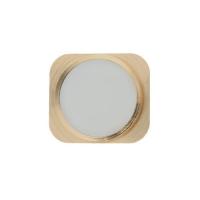 Клавиша HOME (толкатель) для Apple iPhone 5/ 5c ,  Touch ID, золото