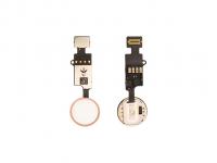 Кнопка (механизм) 