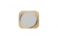 Кнопка HOME верх.часть для iPhone 5 (copy 5S) белая кант золото