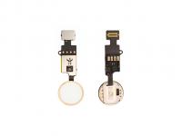 Кнопка (механизм) 